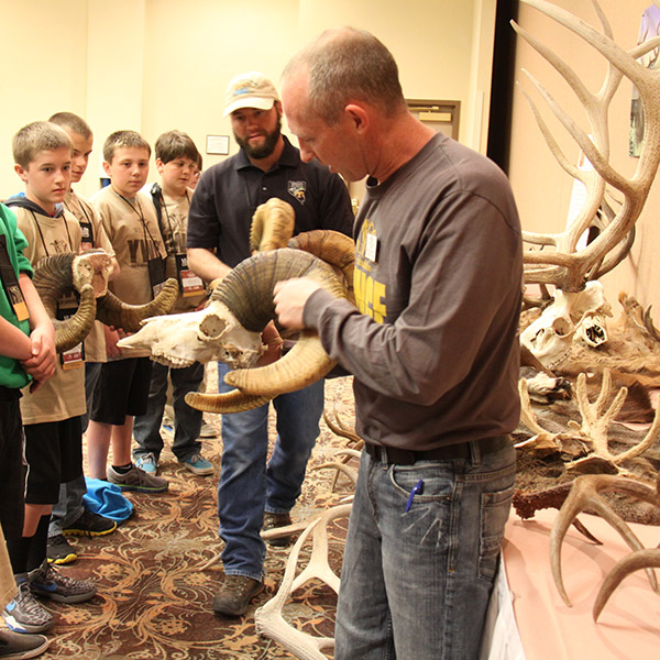 Children learning about wild sheep